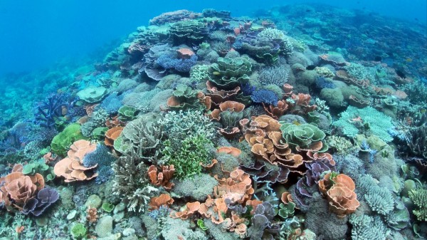 Underwater
