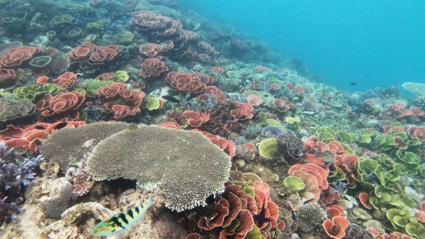 Underwater
